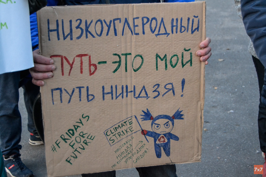 "Климатическая забастовка" в Архангельске