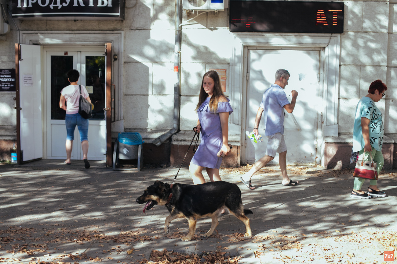 Люда идет по Анапскому шоссе с овчаркой по имени Тоха в магазин для животных, где ее хорошо знают. Ее узнают и в ветклиниках города