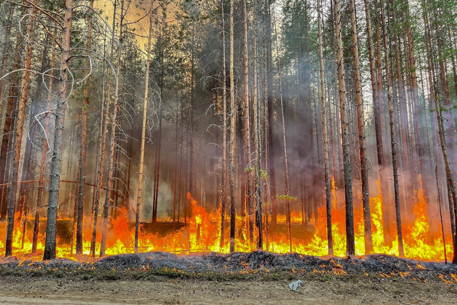 Пожары в Карелии