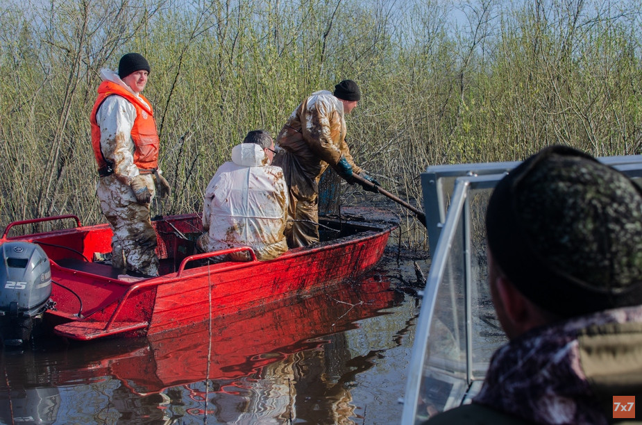 Волонтеры устраняют последствия нефтеразлива на реке Колва
