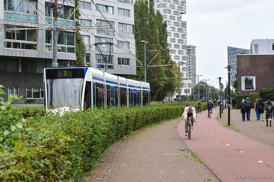 Кусты вместо забора в Амстердаме