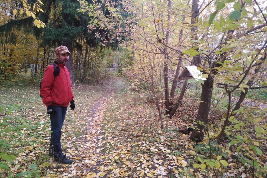 Тимирязевский лес в Ижевске