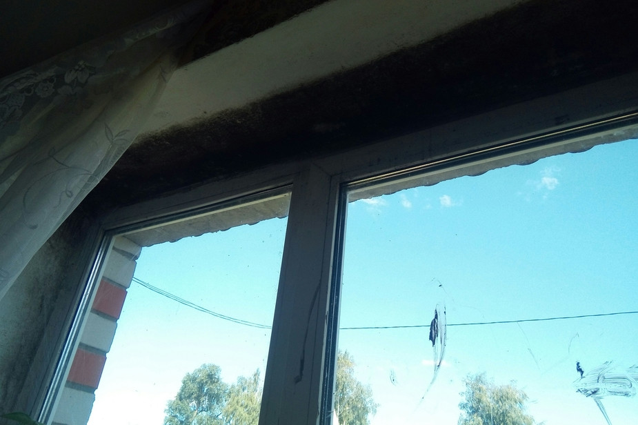 Следы плесени в квартире, выделенной сироте