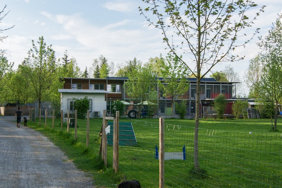 Приют для животных в Дорнбирне (Австрия)