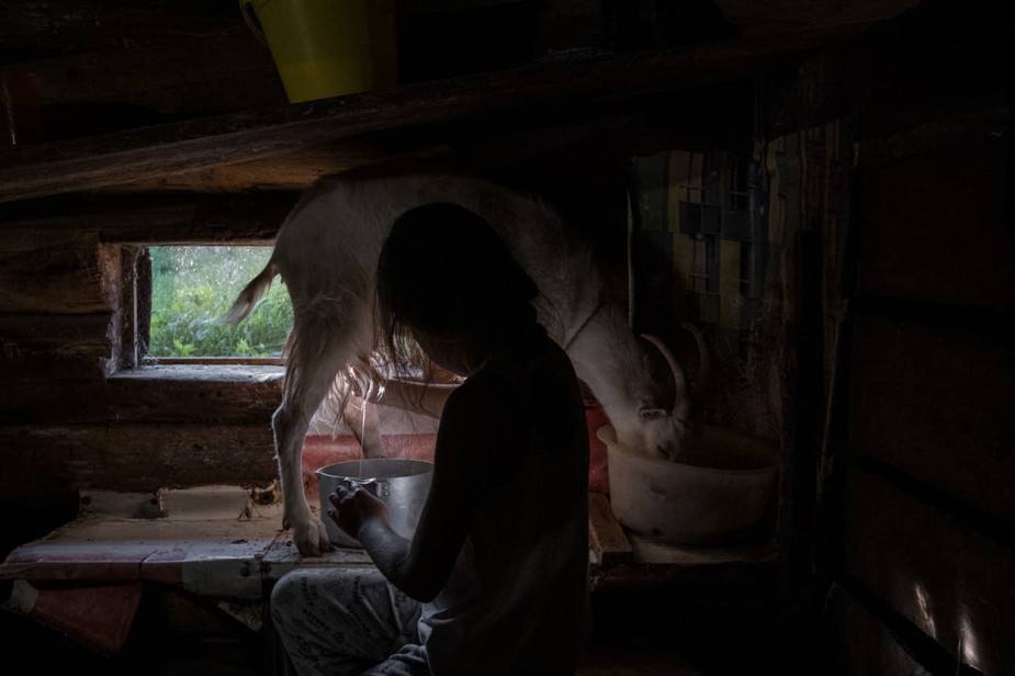 Каждый день Вита доит коз, и Елена делает из молока сыр