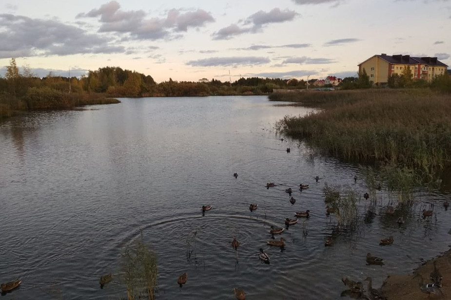 Парк «Озерная гривка» сейчас