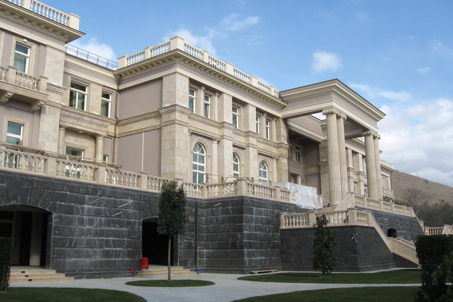 В 2011 году Дмитрий с активистами сумел проехать в дворец Путина и сфотографировать его. Активисты одними из первых публично сообщили о дворце