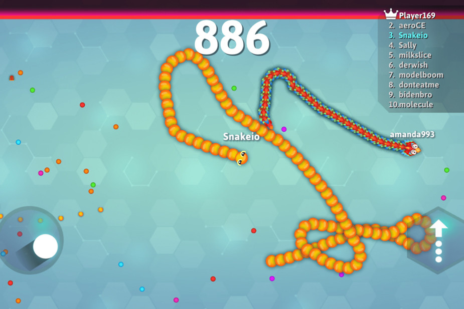 Скриншот игры «Змейка»